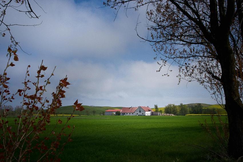 Bed & Breakfast Vinkille Löderup Exterior foto